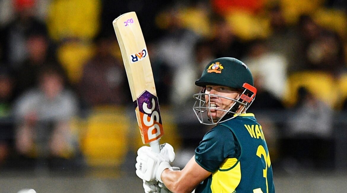 Australia Drops David Warner, Stoinis, Agar from Central Contracts 2024-25