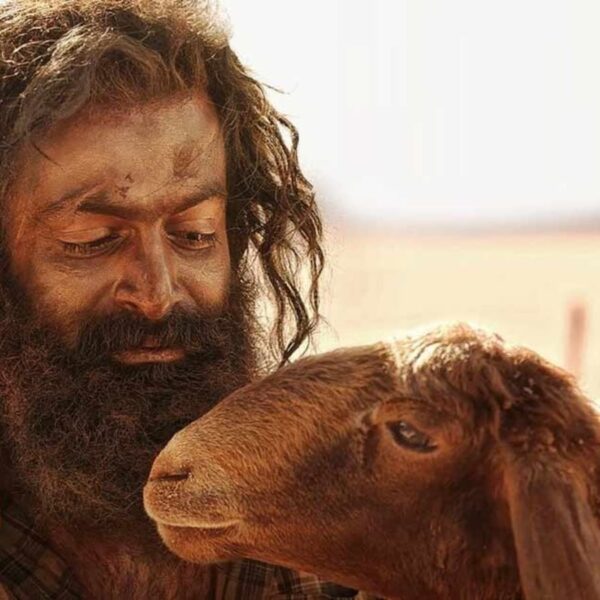 Aadujeevitham The Goat Life 6th Day Box Office Collection: Prithviraj Sukumaran Movie Surpasses ₹40 Crore in India