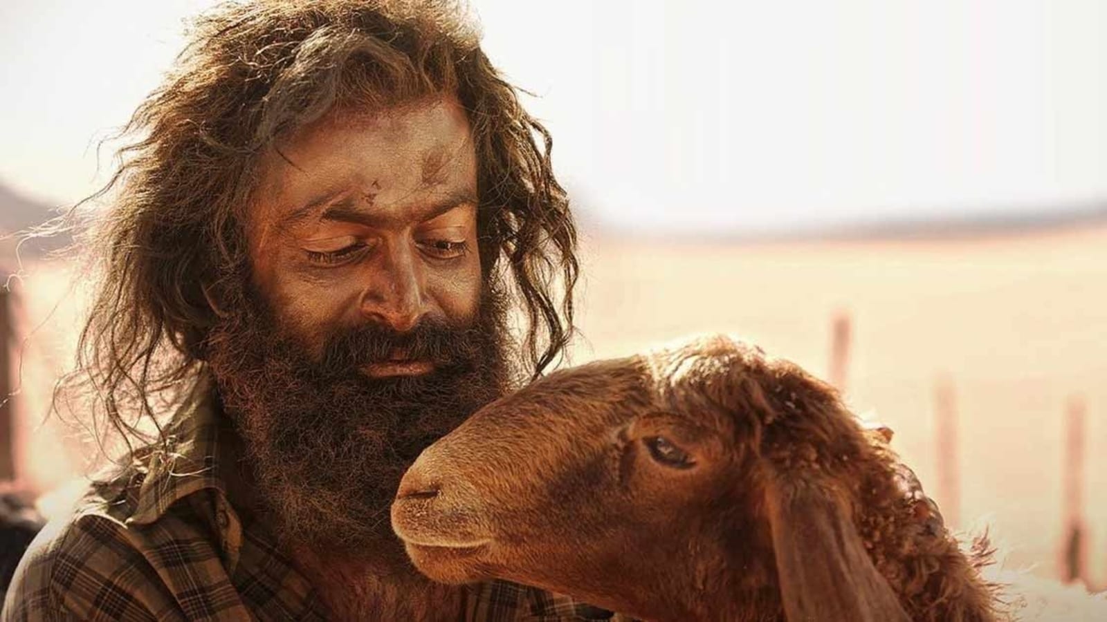 "Aadujeevitham The Goat Life 6th Day Box Office Collection: Prithviraj Sukumaran Movie Surpasses ₹40 Crore in India"